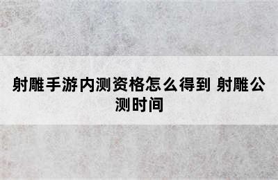 射雕手游内测资格怎么得到 射雕公测时间